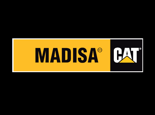 Victor Sosa Proyecto Grupo MADISA